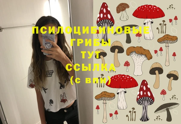 a pvp Алзамай
