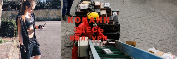 a pvp Алзамай