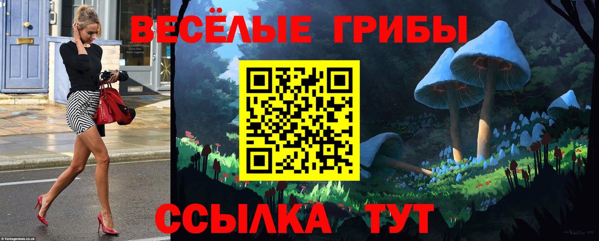Псилоцибиновые грибы GOLDEN TEACHER Полевской